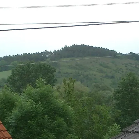 Apartmán Muench *