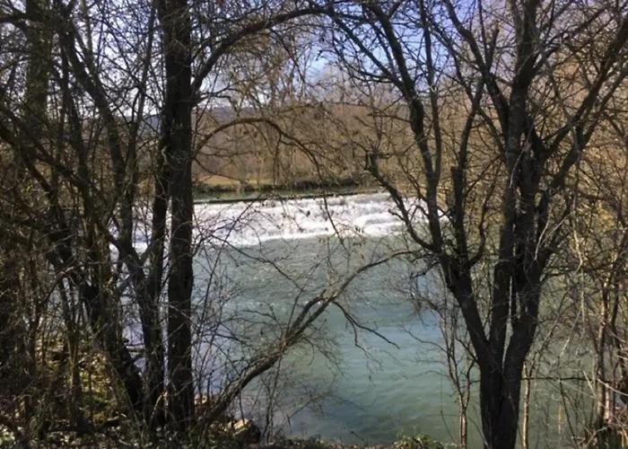 Muench * 陶博比斯霍夫斯海姆